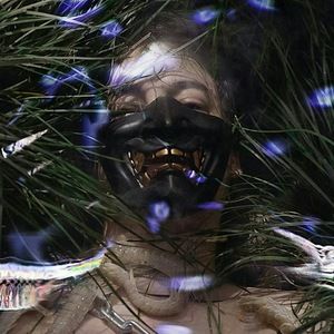 Meet your Posher, Zach